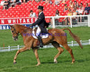 Andrew Nicholson &  NEREO